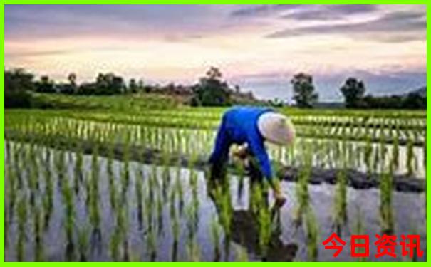 长白山7月份旅游攻略